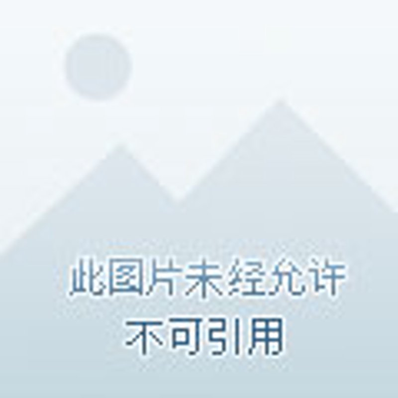 视频分析系统的现状与未来